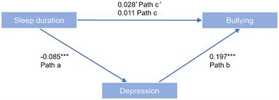 The relationship between adolescent sleep duration and exposure to school bullying: the masking effect of depressive symptoms